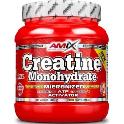 Creatina Monohidrato 300gr Amix