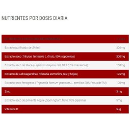 Testo XXL 60caps-BIG