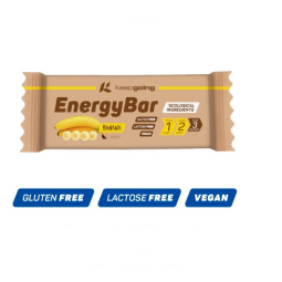 Energy Bar Keepgoing Barrita Energetica Ecologica Vegan Sin Gluten