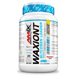 Waxiont Amix Performance 1kg 20 serv Carga energética y sales