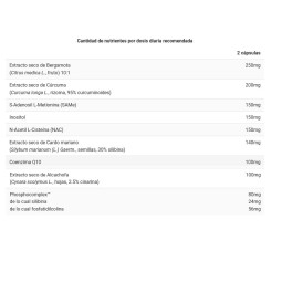 Total Clean 60caps BIG