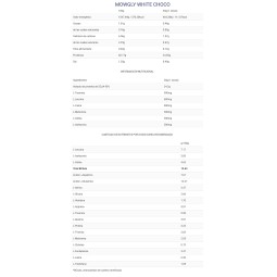 Vegan Amino Plus 1Kg Big Proteína Vegana